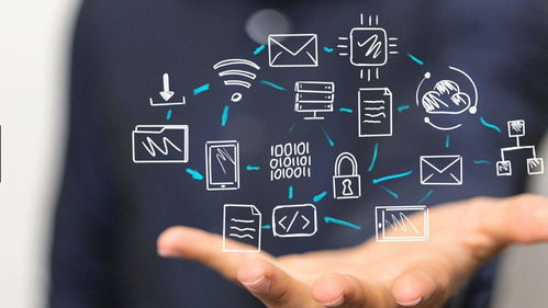 艾舜杰如何利用數(shù)字化轉(zhuǎn)型推動可持續(xù)發(fā)展